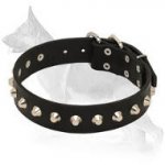 Gorgeous Daily Elegance Leather Collar with Silver-like Cones