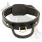 Better Control 2 Ply German Shepherd Leather Collar