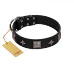 "Black Cavalier" Handmade FDT Artisan Black Leather German Shepherd Collar with Silver-Like Stars and Large Plates