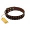 "To the Moon and Back" FDT Artisan Brown Leather German Shepherd Collar with Bronze-like Star Studs