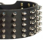 German Shepherd Leather Dog Collar Spikes 5 Rows