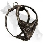 Supercool German Shepherd Dog Leather Harness