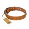 "Autumn Story" FDT Artisan Leather German Shepherd Collar with Old Bronze Look Studs