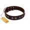 "King Arthur" FDT Artisan Brown Leather German Shepherd Collar with Spiky Plates