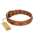 "Call of Feat" FDT Artisan Tan Leather German Shepherd Collar with Old Bronze-like Studs and Oval Brooches
