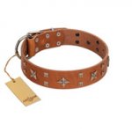 "Dreamy Gleam" FDT Artisan Tan Leather German Shepherd Collar Adorned with Stars and Squares