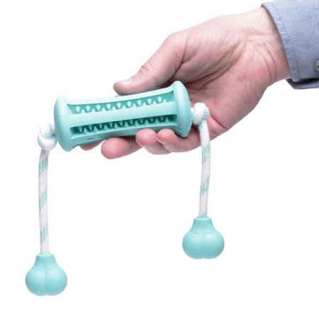 Green Training Dental Toy With Handles