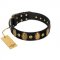 "Venerable Pawty" FDT Artisan Black Leather German Shepherd Collar with Old Bronze-like Ovals and Studs