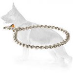 Silver-like Steel Choke Collar with Red HS Label - 1/9 inch ( 3mm)