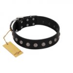 "Silver Flower" Exclusive FDT Artisan Black Leather German Shepherd Collar with Silver-Like Studs