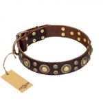 'Flower Melody' FDT Artisan Brown Leather German Shepherd Collar with Mixed Studs for Daily Use