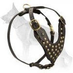 Studded Leather German Shepherd Dog Harness