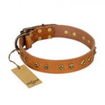 "Autumn Story" FDT Artisan Leather German Shepherd Collar with Old Bronze Look Studs