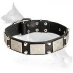 Leather German Shepherd Collar with nickel Plated Plates and Pyramids