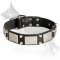 Leather German Shepherd Collar with nickel Plated Plates and Pyramids