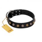 "Inky Prettification" FDT Artisan Black Leather German Shepherd Collar with One Row of Studs