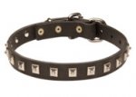 "Caterpillar" Design Leather German Shepherd Collar with Nickel Plated Studs