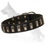 Leather German Shepherd Collar with Slim Silver-like Plates