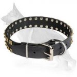 "Caterpillar" Leather German Shepherd Collar with Brass Studs