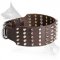 German Shepherd Leather Dog Collar Spikes And Studs