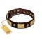 "Heavy Metal" FDT Artisan Brown Leather German Shepherd Collar with Old Bronze-like Skulls and Plates
