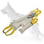 Double Bite Training Set of Fire Hose Tugs