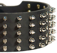 German Shepherd Leather Dog Collar Spikes 5 Rows