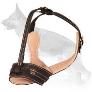 Royal Nappa Leather Dog Muzzle For German Shepherd