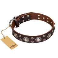 'Age of Beauty' FDT Artisan Incredible Studded Brown Leather German Shepherd Collar