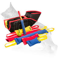 All in One Dog Bite Set for Professional Training