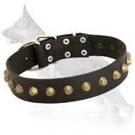 Gorgeous Wide Leather Dog Collar