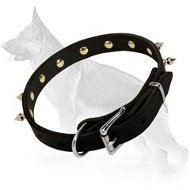 Newly designed spiked leather dog collar