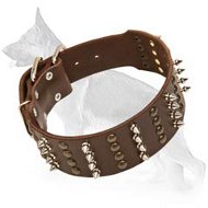 Noble Spiked Studded Leather Collar