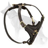 Walking German Shepherd Dog Harness