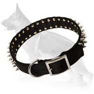 Leather Spiked Dog Collar