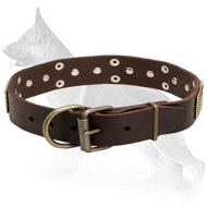 Leather German Shepherd Collar with Brass Plates and Nickel Plated Cones