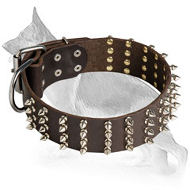 German Shepherd Leather Dog Collar Spiked 4 Rows