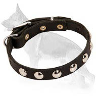 Elegant Studded Leather German Shepherd Collar