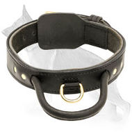 Better Control 2 Ply German Shepherd Leather Collar