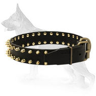 Leather German Shepherd Collar with Golden Spikes