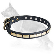 Slide Leather German Shepherd Collar with Brass Plates