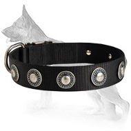 All Weather Collar with Silver Conchos