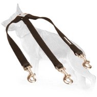 Nylon German Shepherd Coupler for Walking 3 Dogs