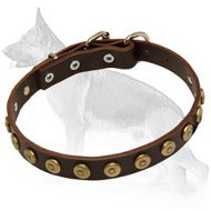 Gorgeous Leather Dog Collar With Doted Circles
