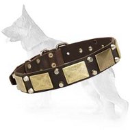 Gorgeous War Dog Leather Dog Collar