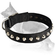 1 Row Studs Dog Collar-1 1/4" for German Shepherd