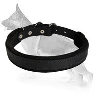 Padded Leather dog collar - C24 1 inch (2.5cm) width