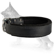 Padded Leather Dog Collar with Thick Felt - C24