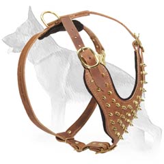 Brass Spiked Leather Harness For German Shepherd Dog