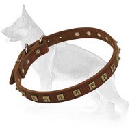 Brass Studded Leather Dog Collar
